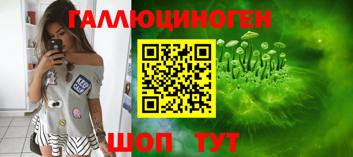 Галлюциногенные грибы Psilocybe Глазов