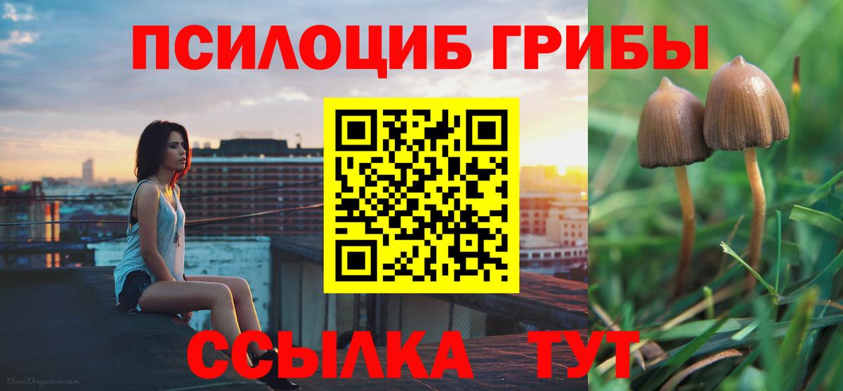 Псилоцибиновые грибы GOLDEN TEACHER  Вход с VPN  Глазов  Псилоцибиновые грибы Psilocybe 